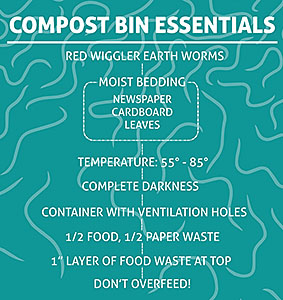 click for the quickstart guide on the hows and whys of worm care