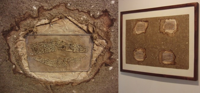 vermibook_AnnSilvermancrop