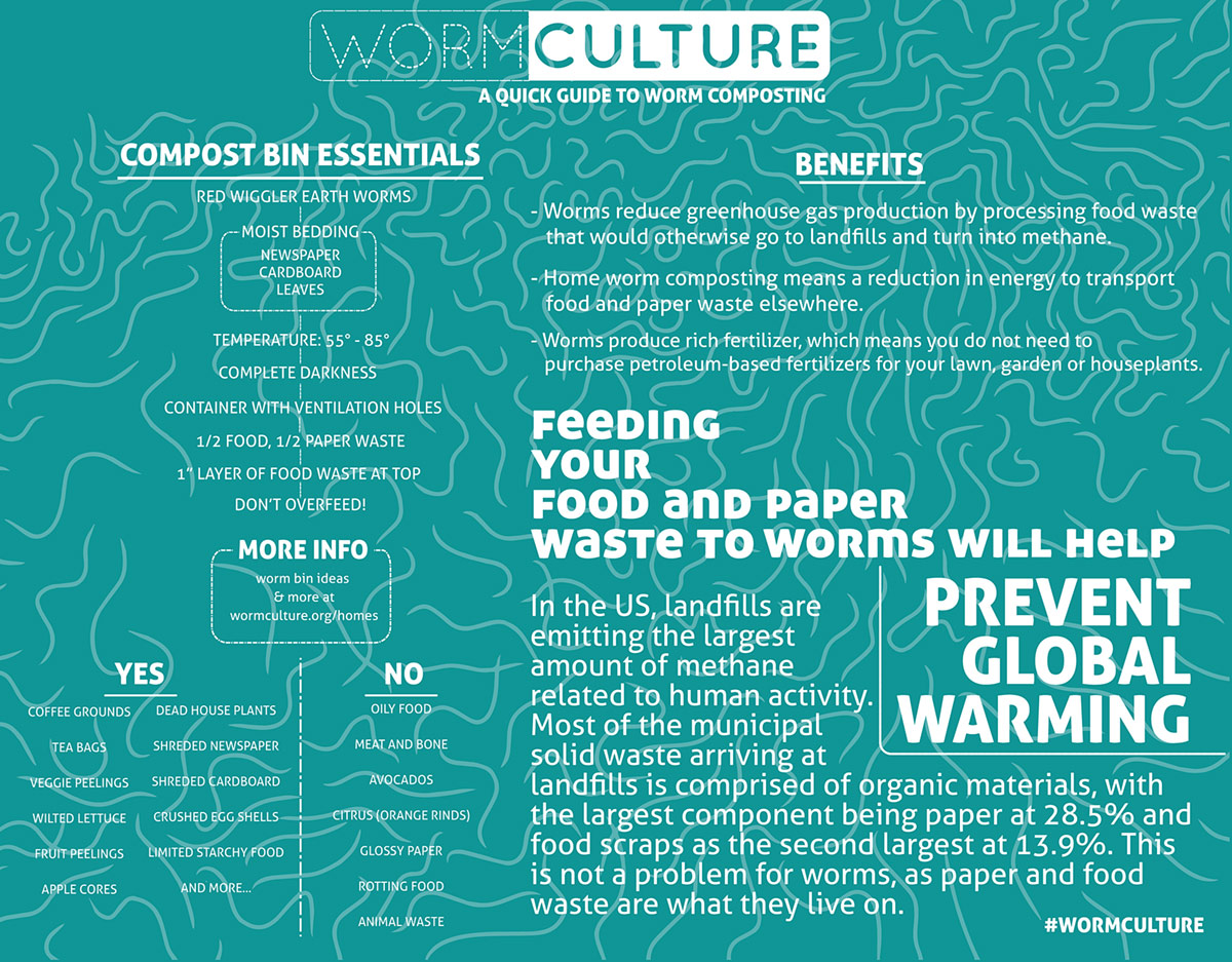 Worm quickstart guide by Daniel Meredith and Amy Youngs